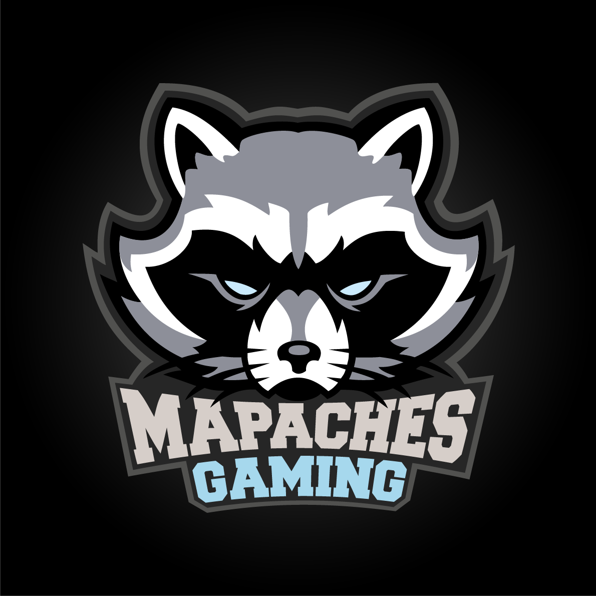 Mapaches Gaming - Equipo - Temporada de Juegos 2023