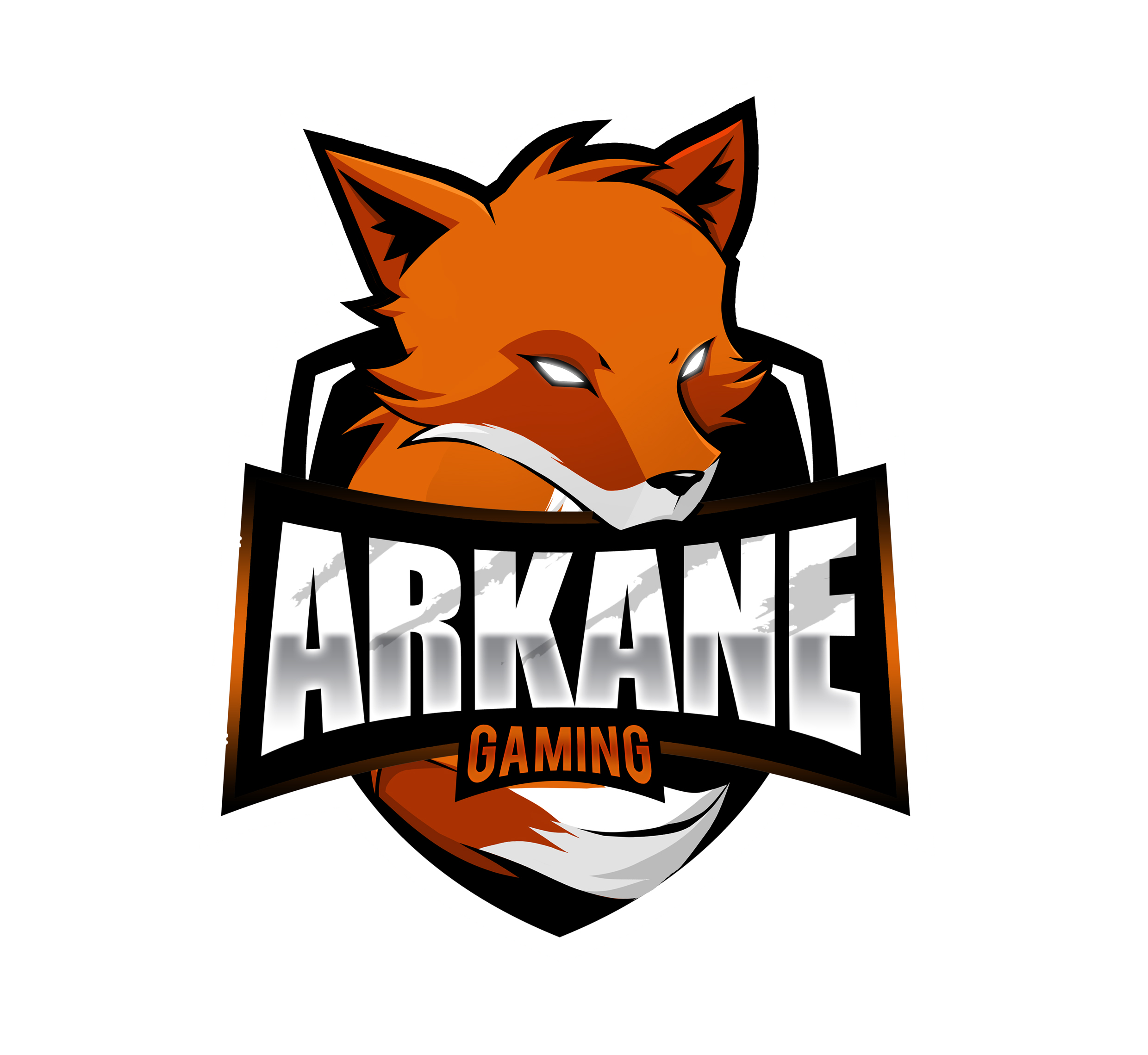 Arkane Gaming Equipo Temporada de Juegos 2024